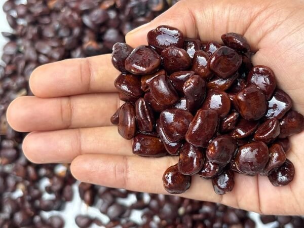 Tamarind Seeds